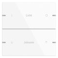 GIRA 5032903 Wippenset 2fach indiv. Tastsensor4 TS4 Alu Reinweiß gl.(lackier