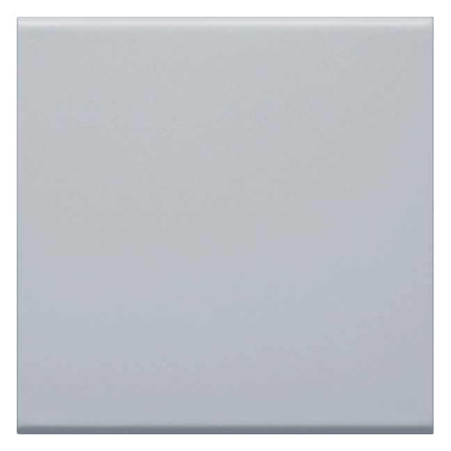 Hager GW1BLAN Wippe 1fach f.Schalter/Taster 55mm hfr lack Alu