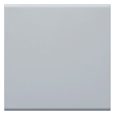 Hager GW1BLAN Wippe 1fach f.Schalter/Taster 55mm hfr lack Alu