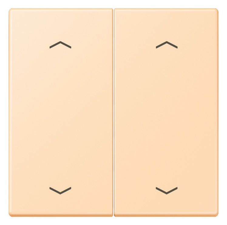 Jung LC102P223 Wippe m.Pfeilsymbolen f.KNX Taster 2