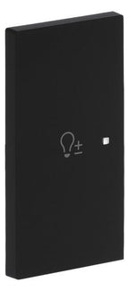 BJ 6234-21-45M Wippe 2-fach links m.Symbol "Dimmer"