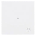 BJ 6234-10-44G Wippe 1-fach m.Symbol "Dimmer"