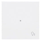 BJ 6234-10-44G Wippe 1-fach m.Symbol "Dimmer"