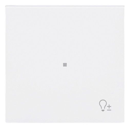 BJ 6234-10-44G Wippe 1-fach m.Symbol "Dimmer"