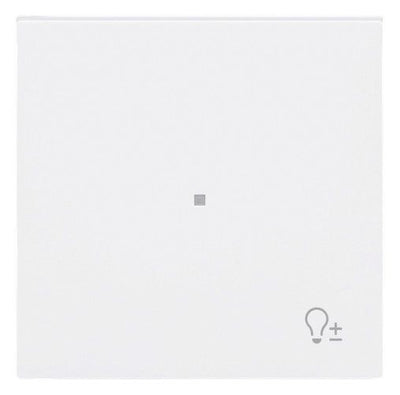 BJ 6234-10-44G Wippe 1-fach m.Symbol "Dimmer"