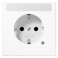 Jung LS 1520 BFNAKO WW SCHUKO-Steckdose 16A 250V Berührungs.- schutz SF