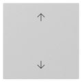 GIRA 3616015 Wippe Pfeile System 55 Grau m