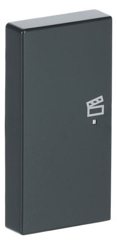 BJ 6233-21-81 Wippe links 2-fach Szene Busch-free@home anthrazit