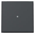 GIRA 329067 Wippe Kontrollfenster TX_44 WG UP Anthrazit