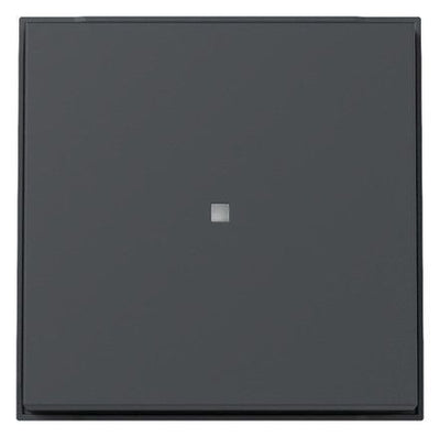 GIRA 329067 Wippe Kontrollfenster TX_44 WG UP Anthrazit