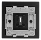 BJ 1789 LI-45M Wippe m.Symbol "Licht" m. transparenter Kalotte