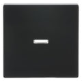 BJ 1789 N-81 Wippe anthrazit future linear Abdeckung f.Schalter/Taster