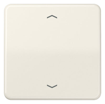 Jung CD101P Wippe f.Tasterpfeile