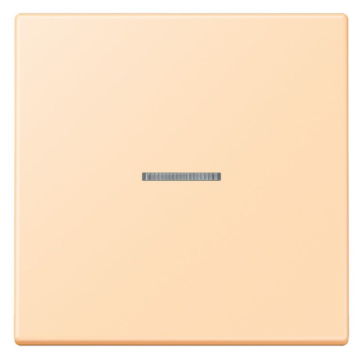 Jung LC990KO5223 Wippe f.Schalter/Taster KO LC32060