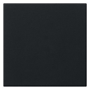 GIRA 5372005 Wippe 1fach unbedruckt System 55 Schwarz matt (lackiert)
