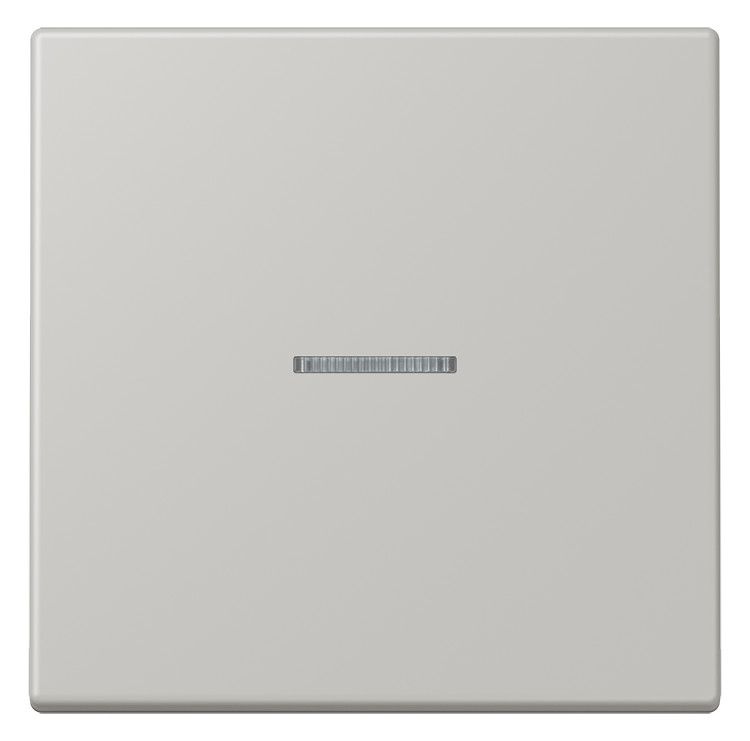 Jung LC101KO5205 Wippe m.Lichtleiter f.KNX Taster 1fa
