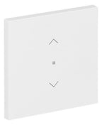 BJ 6232-10-44M Wippe 1-fach m.Symbol "Jalousie"