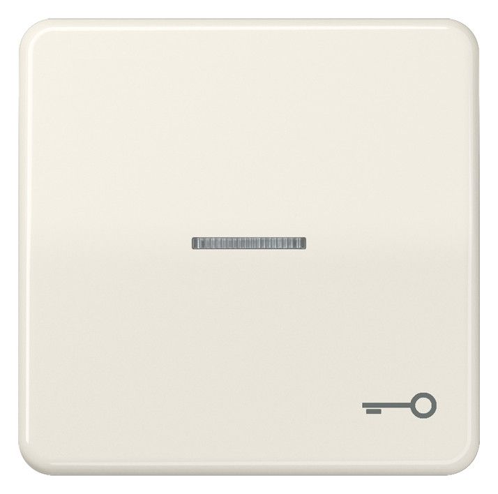 Jung CD590KO5T Wippe Symbol Tür m.Lichtleiter weiß