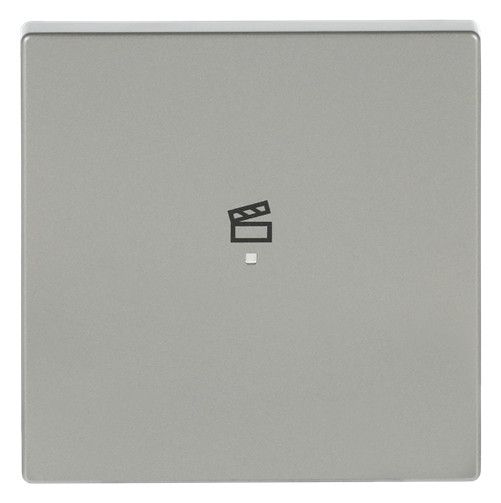 BJ 6233-10-866 Wippe 1f Szene edelstahl Busch-free@home pur Est