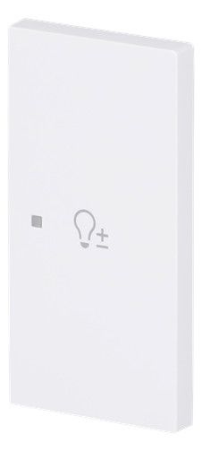 BJ 6234-22-44G Wippe 2-fach rechts m.Symbol "Dimmer"