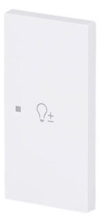 BJ 6234-22-44G Wippe 2-fach rechts m.Symbol "Dimmer"