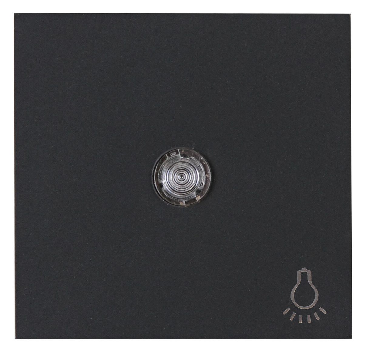 Kopp 490446001 HK07 Flächenwippe m.Linse u.Symbol "Licht" anthrazit