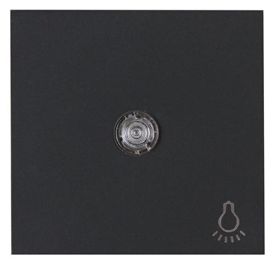 Kopp 490446001 HK07 Flächenwippe m.Linse u.Symbol "Licht" anthrazit