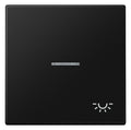 Jung LS 990 KO5 L SWM Wippe 1f m.Lichtleiter Symbol Licht Serie LS gsw