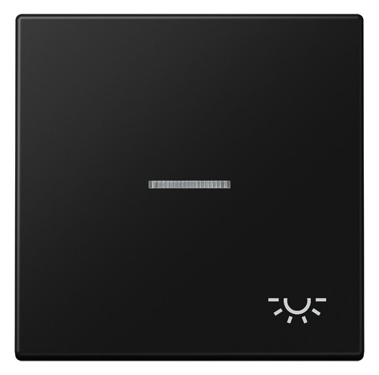 Jung LS 990 KO5 L SWM Wippe 1f m.Lichtleiter Symbol Licht Serie LS gsw