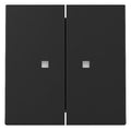 GIRA 3631005 Wippe 2fach Kontrollfenster System 55 Schwarz matt (lackiert)