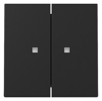 GIRA 3631005 Wippe 2fach Kontrollfenster System 55 Schwarz matt (lackiert)