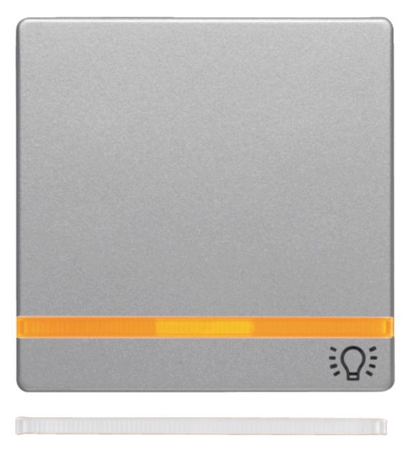 Berker 16216074 Wippe m.2beil.Linsen+ Aufdruck Symbol Licht Q.x alu samt lack.