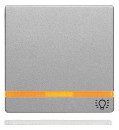 Berker 16216074 Wippe m.2beil.Linsen+ Aufdruck Symbol Licht Q.x alu samt lack.