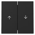 GIRA 3294005 Wippe 2fach Pfeil System 55 Schwarz matt (lackiert)