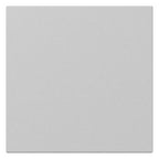 GIRA 3496015 Wippe gerade System 55 Grau matt (lackiert)