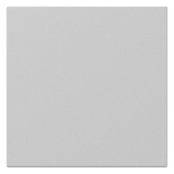 GIRA 3496015 Wippe gerade System 55 Grau matt (lackiert)