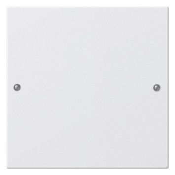 GIRA 218127 Wippenset 1fach System 55 Reinweiß seidenmatt (lackiert)