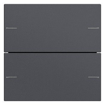 GIRA 575228 Wippenset 2fach Tastsensor4 System 55 Anthrazit