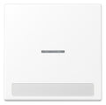 Jung LS 990 NAKO5 WWM Wippe 1f m.Lichtleiter m.Schriftfeld Serie LS