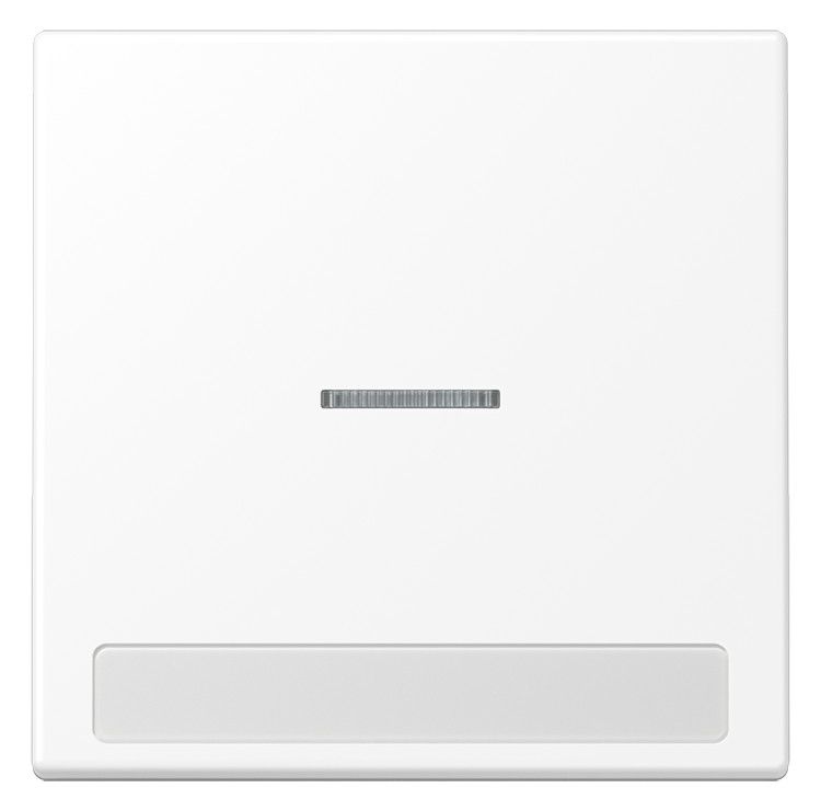 Jung LS 990 NAKO5 WWM Wippe 1f m.Lichtleiter m.Schriftfeld Serie LS