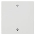 GIRA 538927 Wippe 1fach Pfeile System 55 Reinweiß seidenmatt