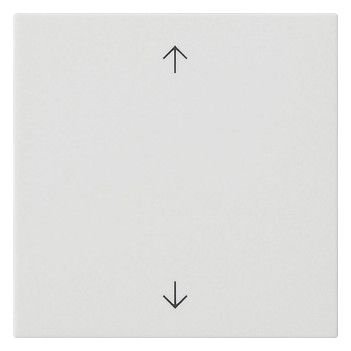 GIRA 538927 Wippe 1fach Pfeile System 55 Reinweiß seidenmatt