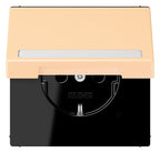 Jung LC1520BFNAKL223 SCHUKO-Steckd.KI m. Klappdeckel m.S