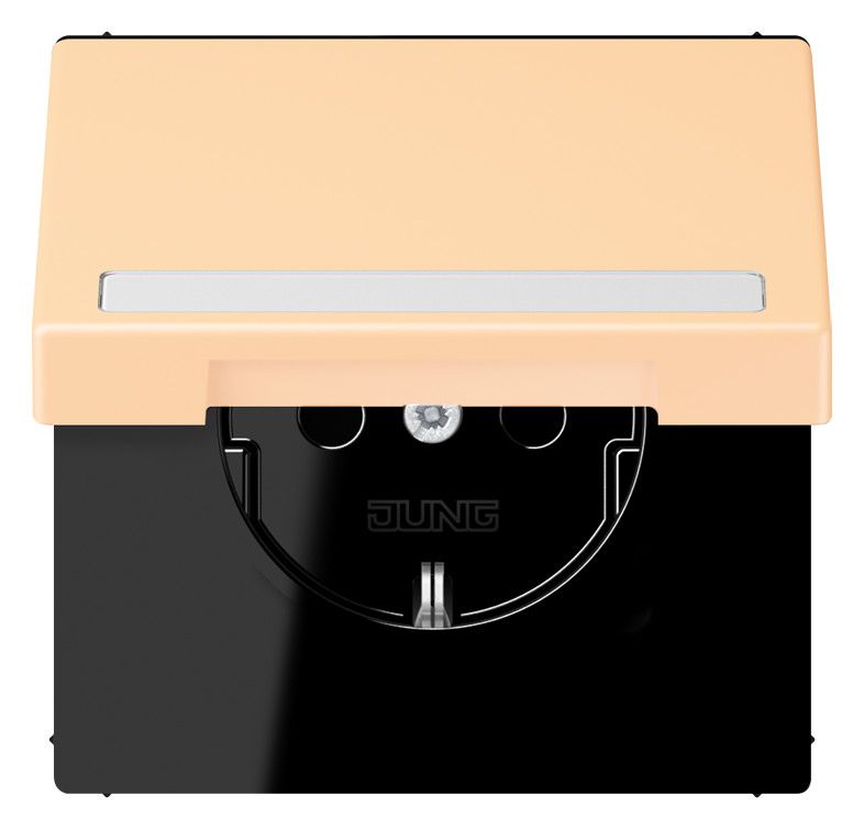 Jung LC1520BFNAKL223 SCHUKO-Steckd.KI m. Klappdeckel m.S