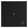 BJ 6234-10-45M Wippe 1-fach m.Symbol "Dimmer"