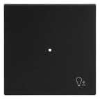 BJ 6234-10-45M Wippe 1-fach m.Symbol "Dimmer"