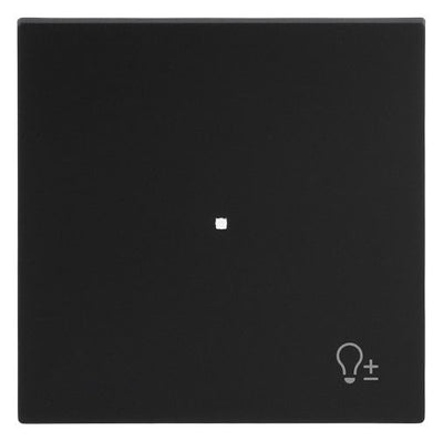 BJ 6234-10-45M Wippe 1-fach m.Symbol "Dimmer"