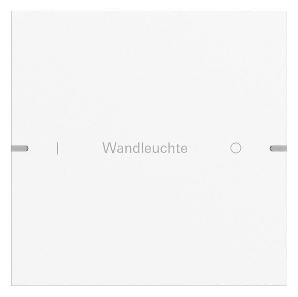 GIRA 5031927 Wippenset 1fach indiv. Tastsensor4 TS4 Alu Reinweiß seidenmatt