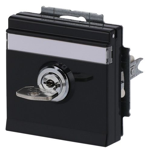 BJ 20 EUKNBSL-81-101 SCHUKO Steckdosen-Einsatz anth future linear