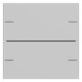 GIRA 5752015 Wippenset 2fach Tastsensor4 System 55 Grau matt (lackiert)